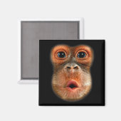 Apenmaag Grappige Meme Cool Virale Video Magneet (Voorkant / Achterkant)