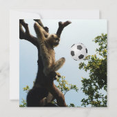 Apenningmeester en bal, leuk verjaardagsfeest kaart (Achterkant)