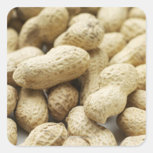 Apennoten. Vierkante Sticker