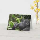 Apenpuzzel. Kaart (Gele Bloem)