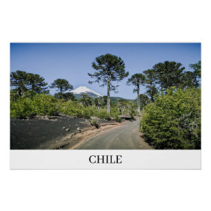 Apenpuzzelbomen nabij vulkaan in Chili Perfect Poster