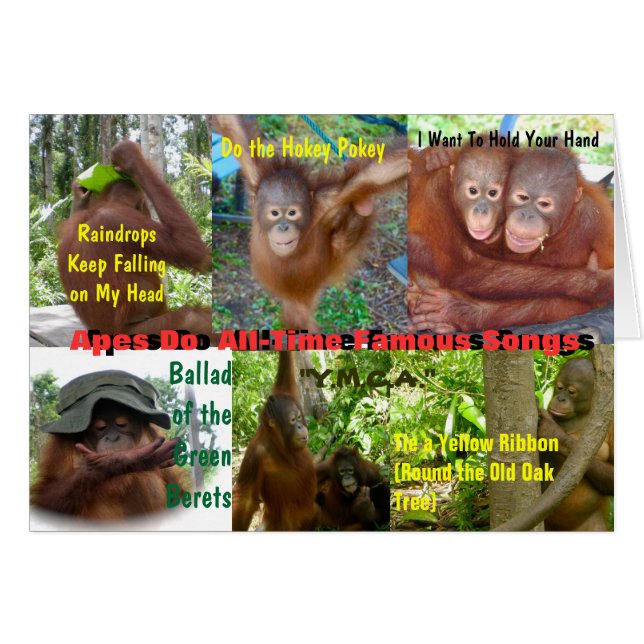 Apes doet de altijdbekende liedjes (Voorkant Horizontaal)