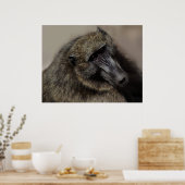 Apes liefde voor altijd poster (Keuken)