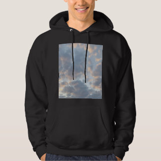 Apesthetische kleding hoodie