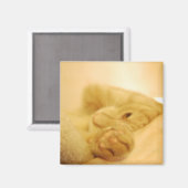 apetteren magneet (Voorkant / Achterkant)