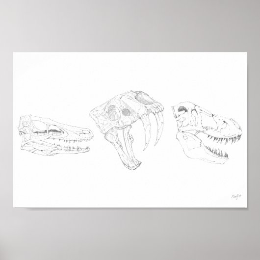 Apex afdrukken poster (Voorkant)