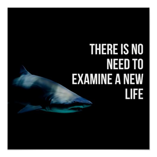 Apex Perfect Poster (Voorkant)