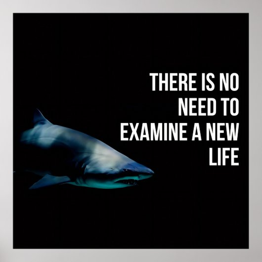 Apex Poster (Voorkant)