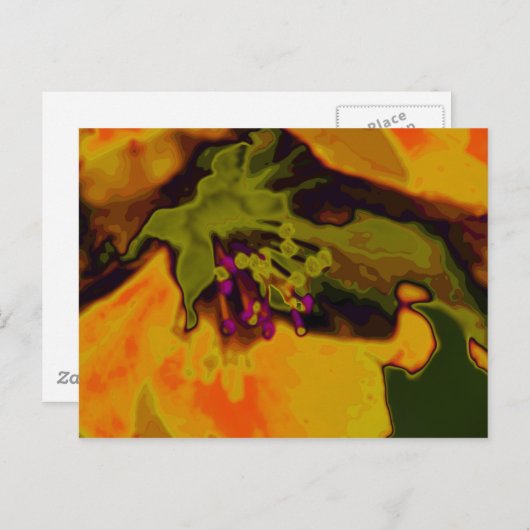 Apfelblüte Briefkaart (Voorkant / Achterkant)