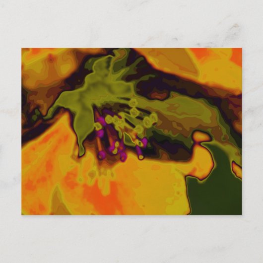 Apfelblüte Briefkaart (Voorkant)