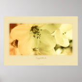 Apfelblüte Poster (Voorkant)