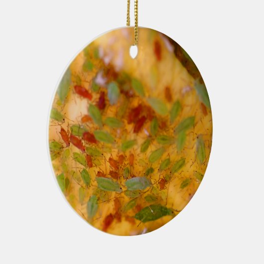 Aphids-besmetting Keramisch Ornament (Rechts)