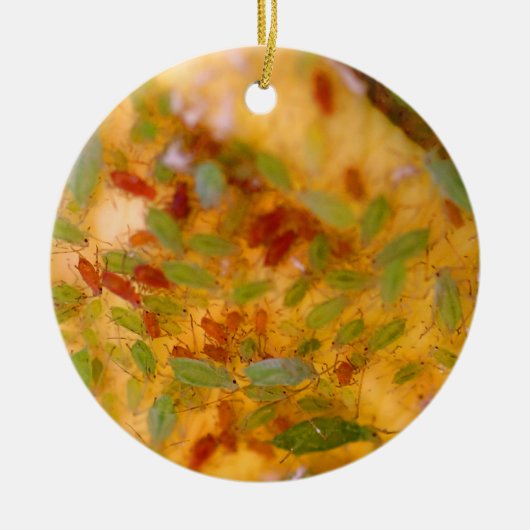 Aphids-besmetting Keramisch Ornament (Voorkant)