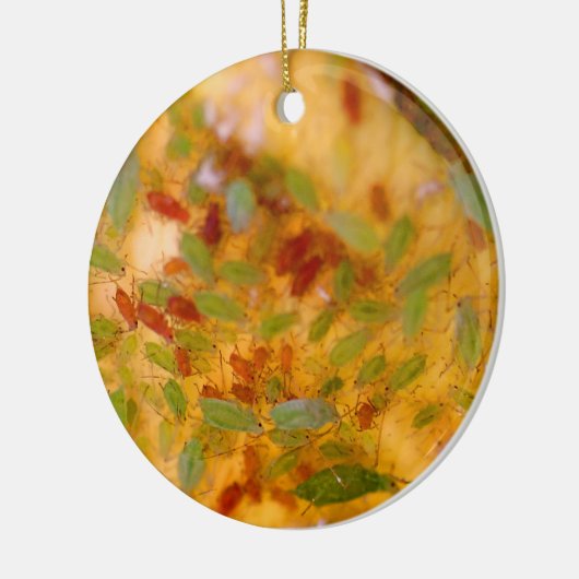 Aphids-besmetting Keramisch Ornament (Links)