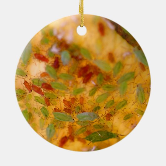 Aphids-besmetting Keramisch Ornament (Achterkant)