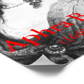 Aphra Behn Poster (Hoek)