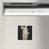 Aphrodite Genetrix, Roman copy Magneet (Insitu (Vaatwasser))