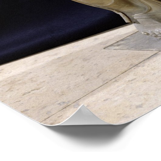 Aphrodite Genetrix, Roman copy Poster (Hoek)