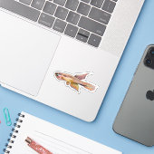 aphyosemion bitaeniatum ijebu ode Killifish Sticker (Laptop met iPhone)