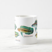 Apistgramma Koffiemok (Center)