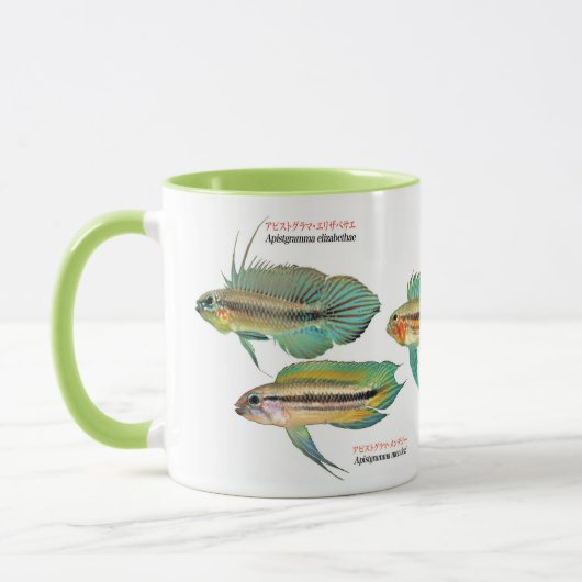 Apistgramma Mok (Links)