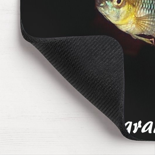 Apistogramma borellii mousepad muismat (Hoek)