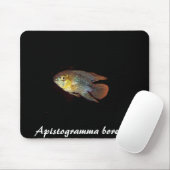 Apistogramma borellii mousepad muismat (Met muis)