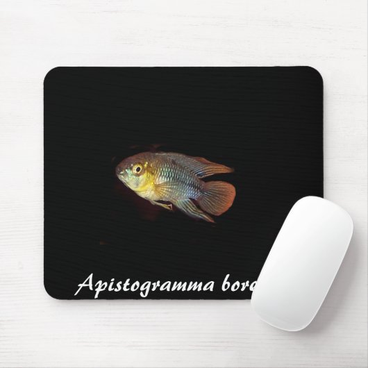 Apistogramma borellii mousepad muismat (Met muis)