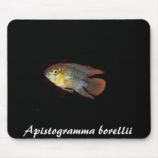 Apistogramma borellii mousepad muismat (Voorkant)