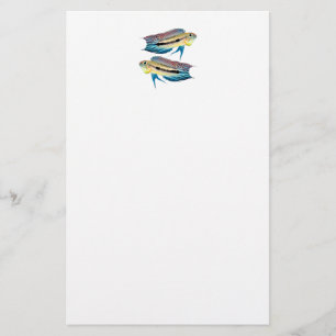 "Apistogramma mendezi"の 良 品 Briefpapier