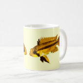 Apistogrammas Dwergcichlide Koffiemok (Voorkant rechts)