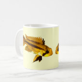Apistogrammas Dwergcichlide Koffiemok (Voorkant links)