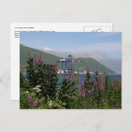 APL Crane in de Nederlandse haven, Alaska Briefkaart (Voorkant / Achterkant)