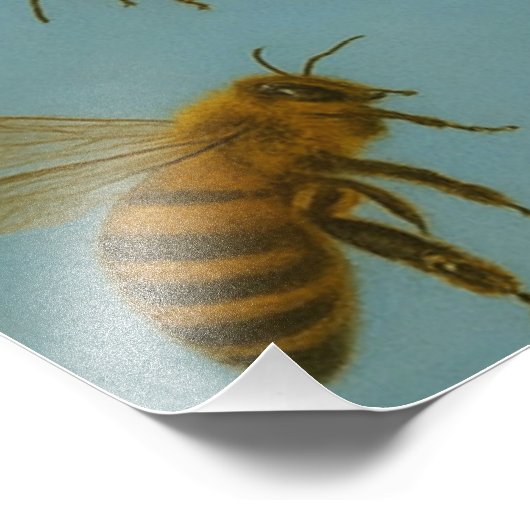 APLICAÇÃO DE FOTO AFDRUK (Hoek)