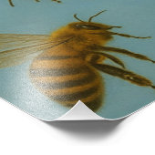 APLICAÇÃO DE FOTO FOTO AFDRUK (Hoek)