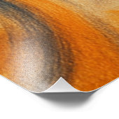 APLICAÇÃO DE FOTO FOTO AFDRUK (Hoek)