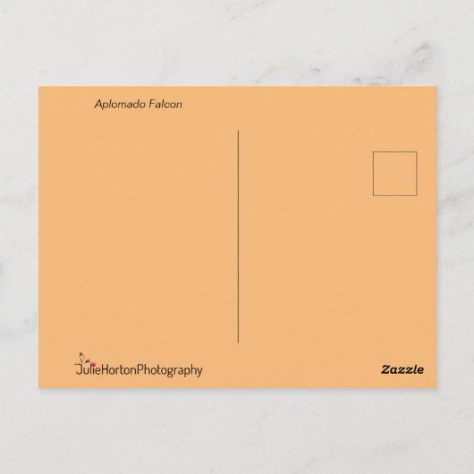 Aplomado Falcon Close Briefkaart (Achterkant)