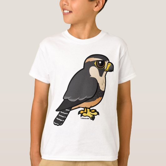 Aplomado Falcon T-shirt (Voorkant)