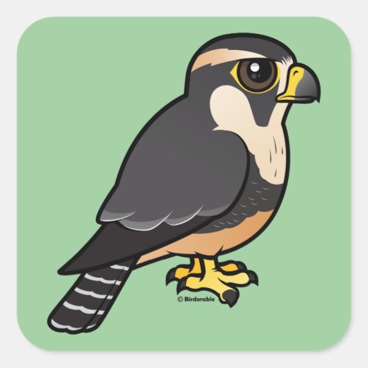 Aplomado Falcon Vierkante Sticker (Voorkant)