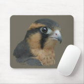 Aplomado Muismat (Met muis)