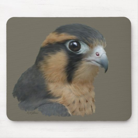 Aplomado Muismat (Voorkant)