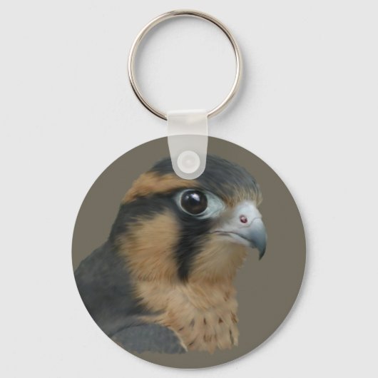 Aplomado Sleutelhanger (Voorkant)