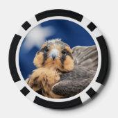 Aplomado-valk met vlag poker chips (Achterkant)