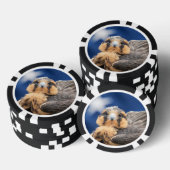 Aplomado-valk met vlag poker chips (Opstapeling)