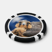 Aplomado-valk met vlag poker chips (Enkel)