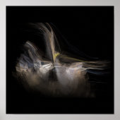 apo-100608-1d poster (Voorkant)