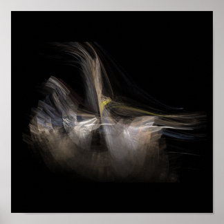 apo-100608-1d poster