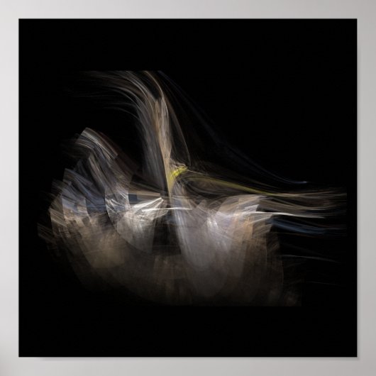 apo-100608-1d poster (Voorkant)