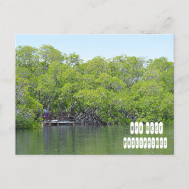 Apo Reef of Mindoro Filipijnen Briefkaart