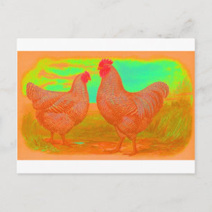 Apocalyps Briefkaart